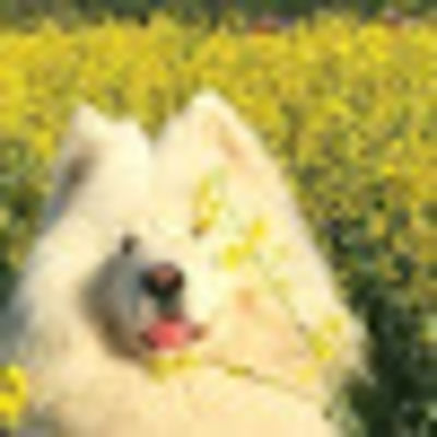 Anastasia Kochetygova