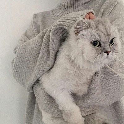 Вероника Полторанина