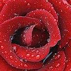 Карина Кушинская