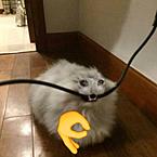 Максим Неред