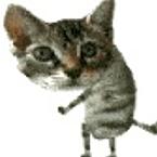 Никита Малетин