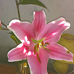 ольга сеченина