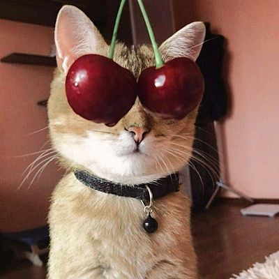 Александра Лебедева