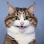 Алексей Брагин