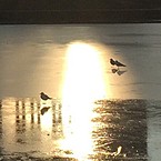 Маша Новикова