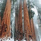 Айзада Степанова