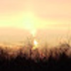 Евгения Усаева