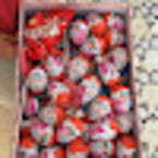 Светлана Асланян