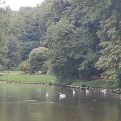 Юлия Крикун