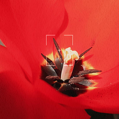 Света Хатагова