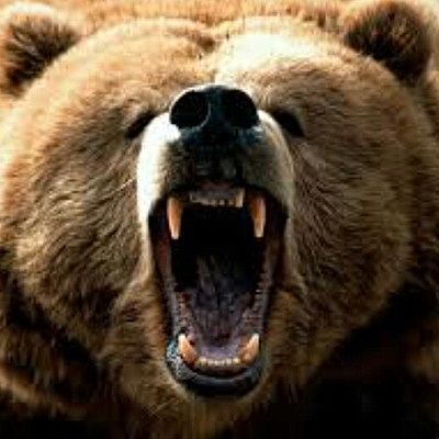 Евгений Медведев