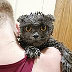 Дарья Набокина