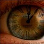 Ника Ципперблатт