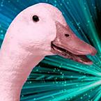 Обычный Чел