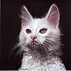 Катя Полярная