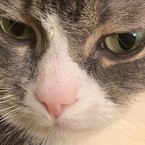 Арина Петрова