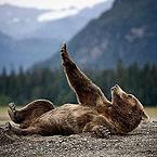 Тихон Басов