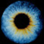 Руслан Седов