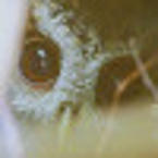 Ксюша Спейс