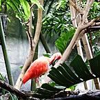 Любовь Саутина