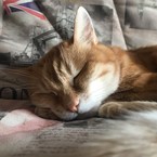 Кристина Какаулина