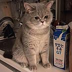 Виталий Икиру