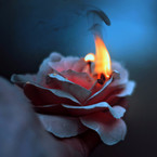 Дарья Григорьева