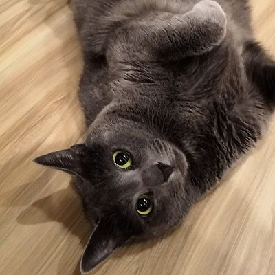 Юлия Тараненко