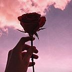 Зина Алексеева