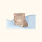 Наталья Цветаева