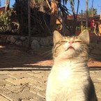 Инсаф Абдульсаидова