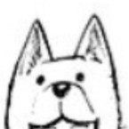 София Хабарова