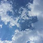 Кенди Аниматроник