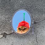 Светлана Дроздова