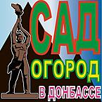 Илья Петров