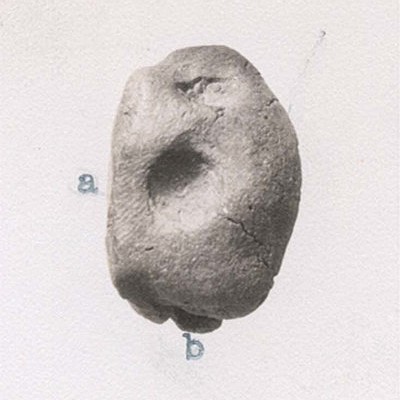 Кирилл Кулешин