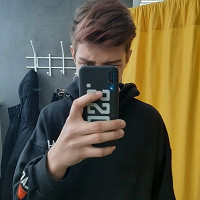 Александр Левицкий