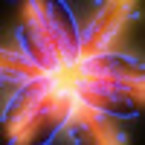 Элизабет Мортон