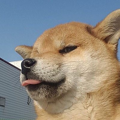 Ариадна Ардабьевская