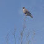 Андрей Логинов