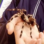 Лилия Маринченко