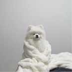 Таня Фёдорова