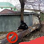 Агент-Оо Александрович