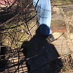 Сияет Жизнь