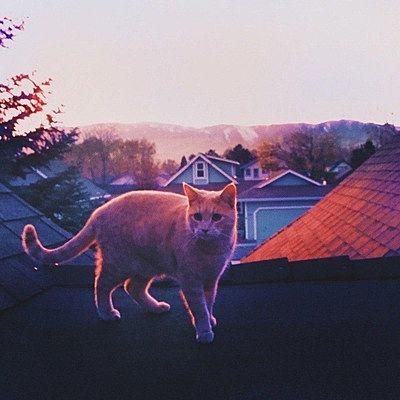 Вадим Иноземцев