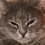 Мадина Размазня