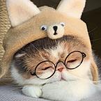 Ботагоз Уали