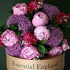 Юлия Локтионова