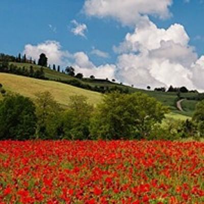 Илона Абоева