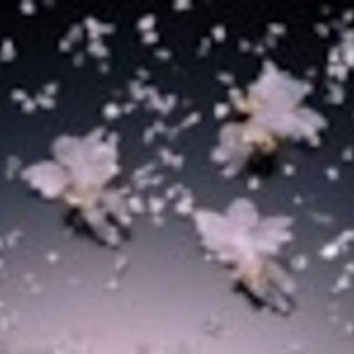 анна кальченко